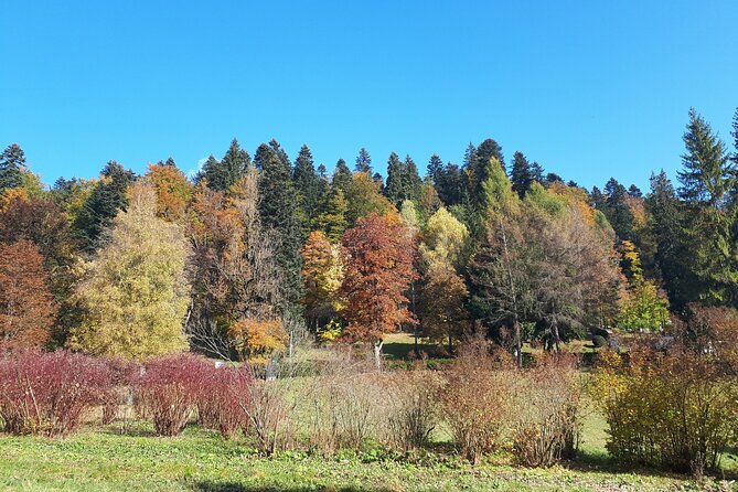 Peles Castle and optional Cantacuzino Castle from Brasov - Cantacuzino Castle and the Wednesday connection