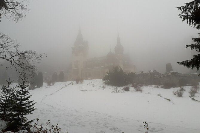 Peles Castle and optional Cantacuzino Castle from Brasov - Transport, group size, and what the price covers