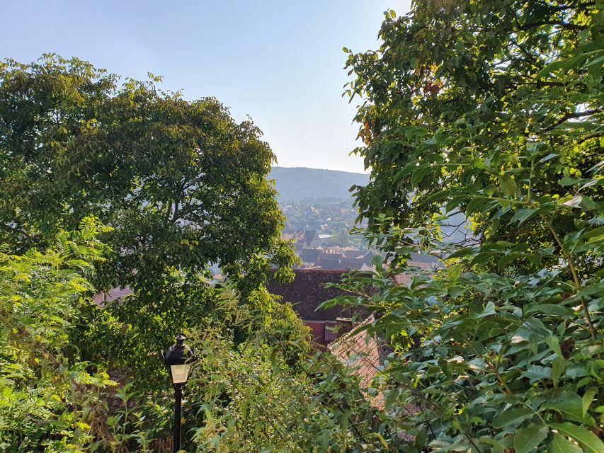 Peleș Castle, Bran Castles and Brasov City - Private Tour - Practical advice for making the day work