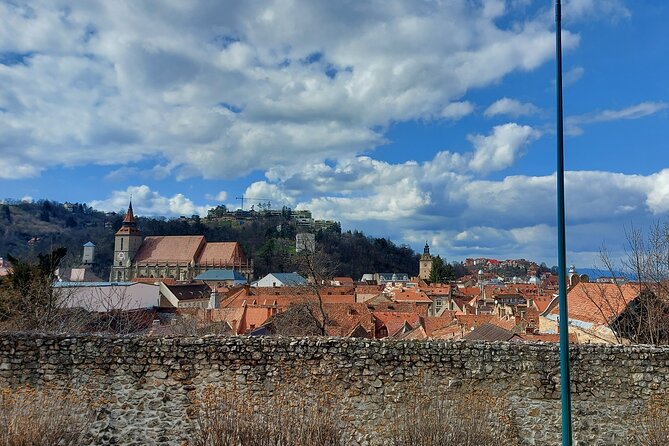 Peles Castle, Dracula Castle and Brasov old town - private tour from Bucharest - What the private format changes