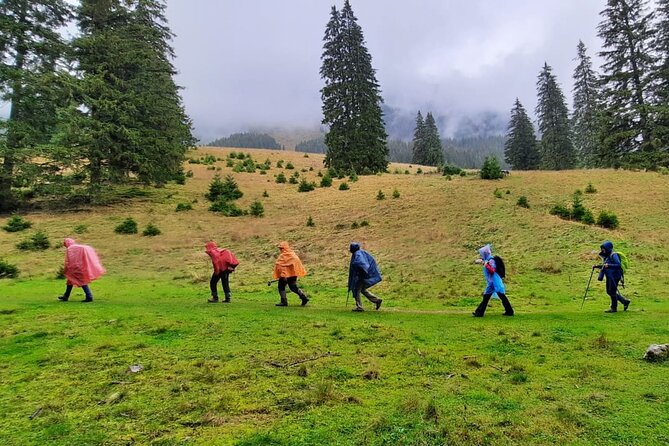 Pestera and Magura Full-Day Private Walking Tour from Brasov - Leaving Brasov for the Piatra Craiului foothills