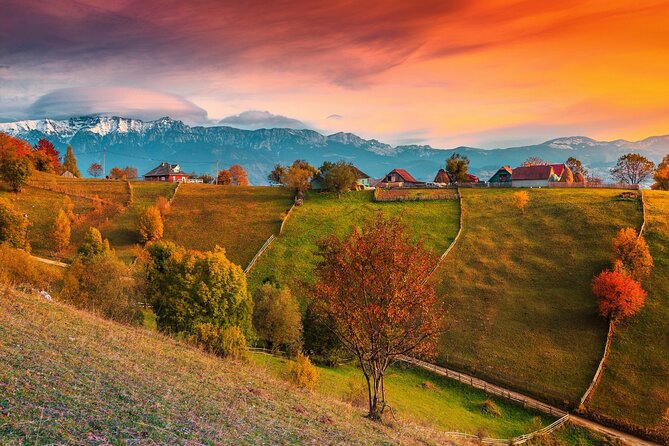 Pestera and Magura Full-Day Private Walking Tour from Brasov - Magura, open scenery and local mountain life