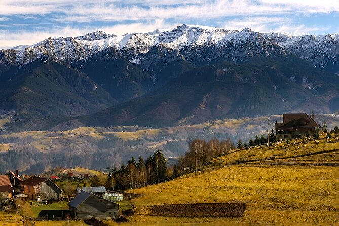 Pestera and Magura Full-Day Private Walking Tour from Brasov - Booking, cancellation, and timing