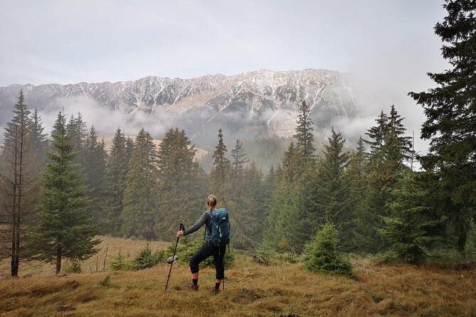 Pestera and Magura Full-Day Private Walking Tour from Brasov - Should you book this village hike?