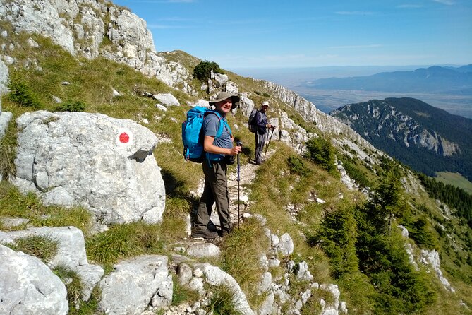 Piatra Craiului National Park Private Hiking Tour from Brasov - Weather, gear, and the actual difficulty