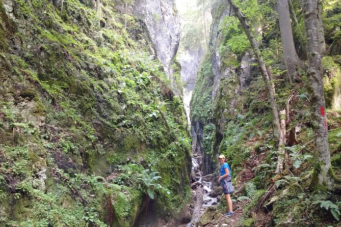 Piatra Craiului National Park Private Hiking Tour from Brasov - Adding Bran Castle on the way back