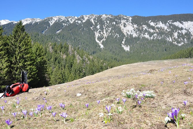 Piatra Craiului National Park Private Hiking Tour from Brasov - Is $126.98 good value?