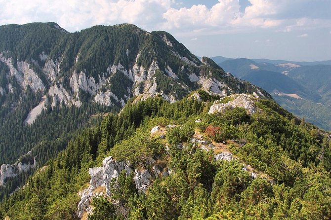 Piatra Craiului National Park Private Hiking Tour from Brasov - Choosing between the two mountain routes