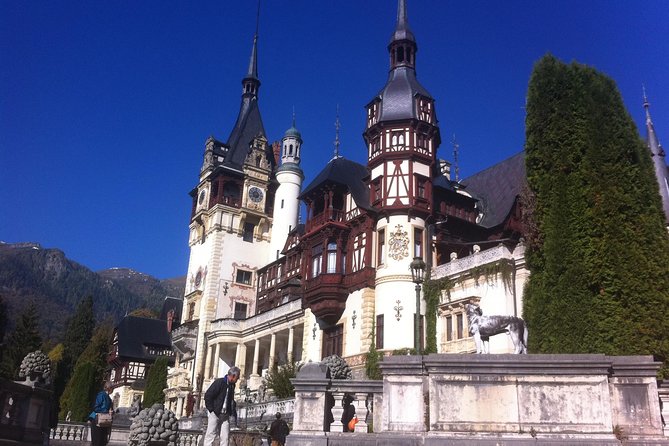 Private 4-Day Tour in Transylvania including Transfagarasan Road from Bucharest - Day four: rescued bears and Snagov Monastery