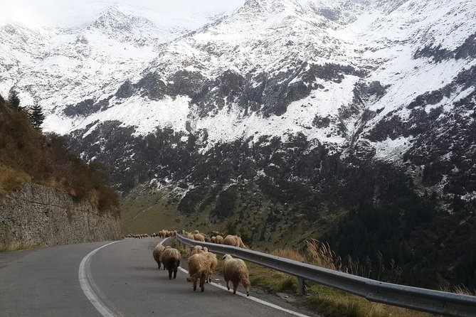 Private 6-Day Dracula Tour in Transylvania from Bucharest - What this six-day route really covers