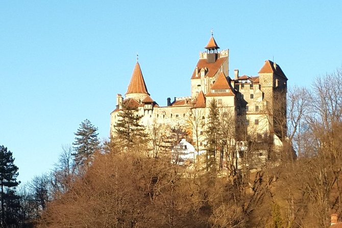 Private 6-Day Dracula Tour in Transylvania from Bucharest - Guides, vehicles, and comfort