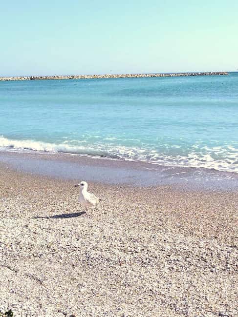 Private Bucharest Tour: Discover Constanța & Black Sea Coast - Who Will Get the Most From This Day