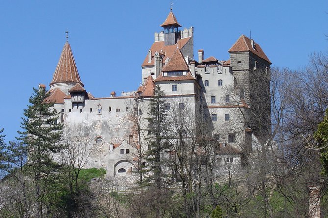 Private Day Tour from Brasov to Rasnov Fortress - Peles Palace and its royal interiors