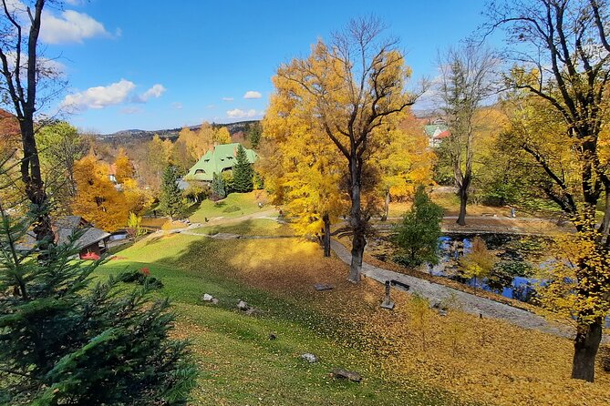 Private Day Tour in Transylvania, Peles and Bran Castles from Brasov - Poiana Brasov: an easier final stop