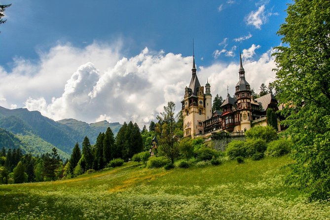Private Full Day Trip to Peles & Bran (Dracula’s) Castles &Brasov - Who should book this private castle tour