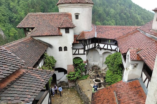 Private Tour to Dracula's Castle, Brașov City & Peleș Castle - The guide and the feel of the day
