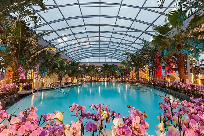 Private Transfer and 3H Tickets to Therme Bucharest - Arriving at the Palm and Galaxy areas