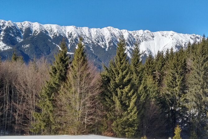 Rambling in Transylvania - Walking through Piatra Craiului National Park