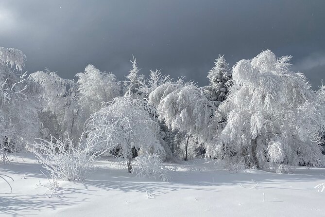 Rambling in Transylvania - Ciocanu and the old imperial border