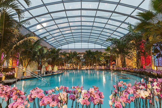 Relax and Fun at Thermal Spa Bucharest (Admission Ticket) - Key things to know before you go