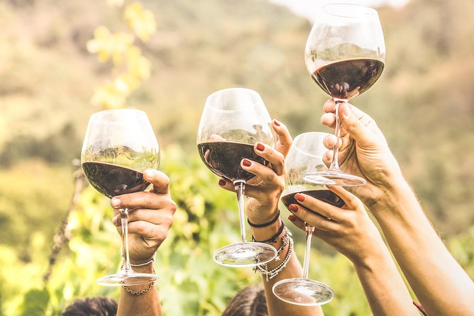 Romanian Wine Tasting - Key points before you book