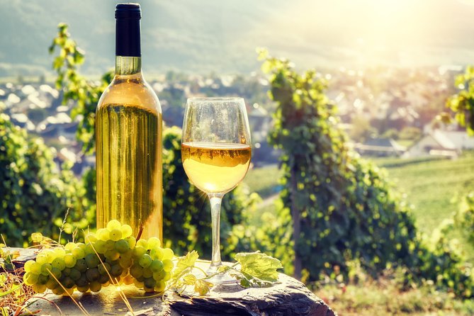 Romanian Wine Tasting - LacertA Winery: start with how Romanian wine is made