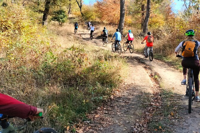 Sambata de Sus: E-Bike Guided Tours - Key Points at a Glance