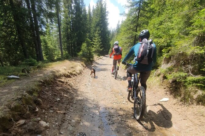 Sambata de Sus: E-Bike Guided Tours - How I Judge the $117.75 Price
