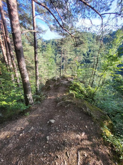 Sibiu: Cindrel Mountains Hike with Traditional Brunch - Leaving Sibiu for the Cindrel Mountains