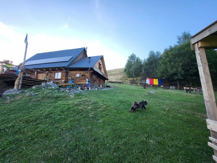 Sibiu: Cindrel Mountains Hike with Traditional Brunch - What the price really covers