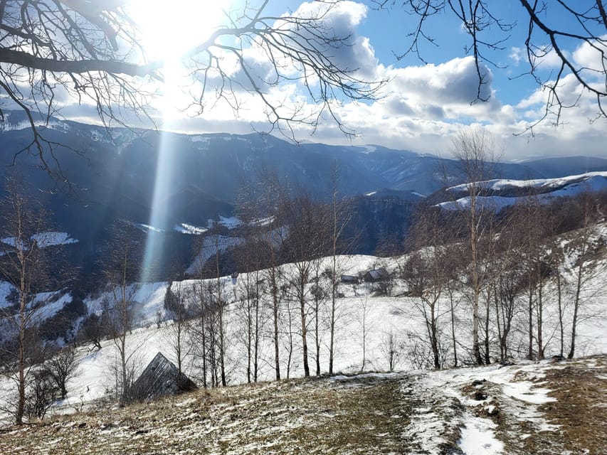 Sibiu: Cindrel Mountains Hike with Traditional Brunch - Who should book this hike