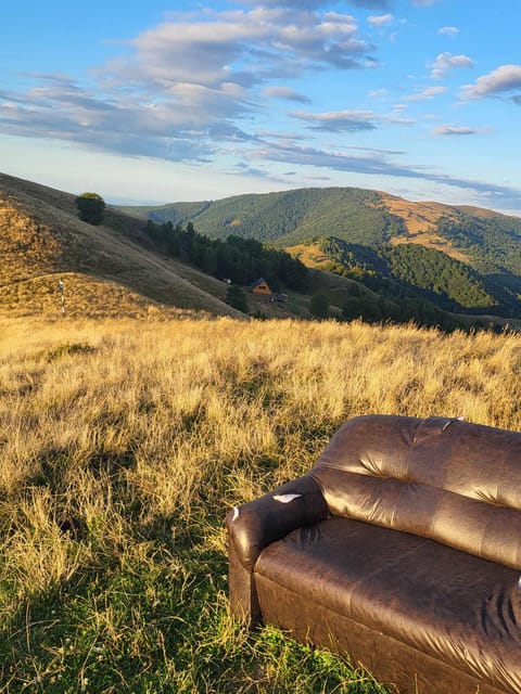 Sibiu: Cindrel Mountains Hike with Traditional Brunch - Should you book the Cindrel Mountains hike?