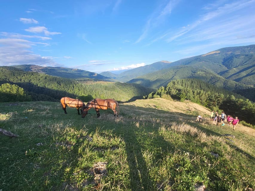 Sibiu: Cindrel Mountains Hike with Traditional Brunch - FAQ