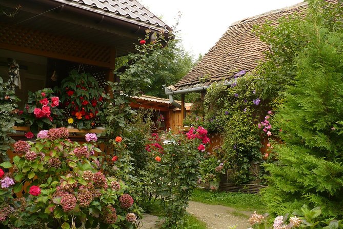 Sibiu Day Trip from Brasov - The old water mill at Moara cu Noroc