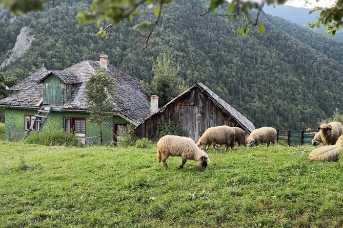Slanic Salt Mines & Village Charms: Bucharest Day Escape - Entering the Slanic Salt Mine