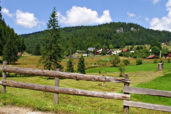 Slanic Salt Mines & Village Charms: Bucharest Day Escape - Food, timing, and the real cost
