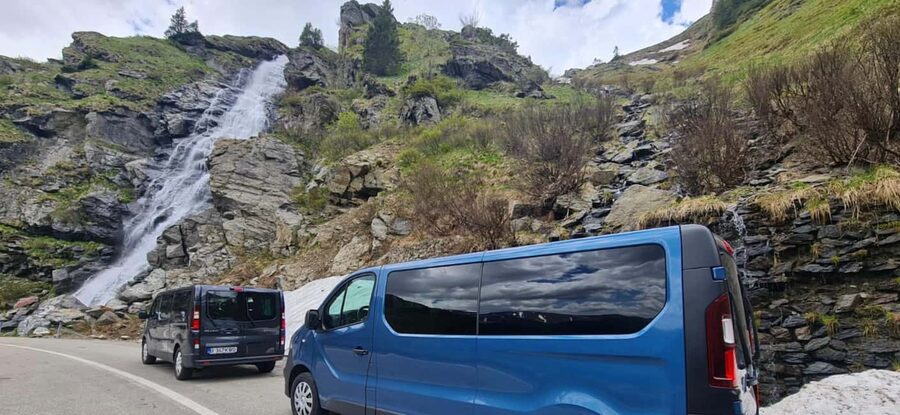 Small group Bears 'Safari' on Transfăgărășan -max 7 tourists - Key points to know before booking