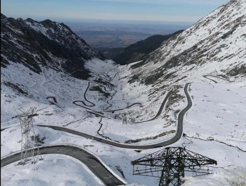 Small group Bears 'Safari' on Transfăgărășan -max 7 tourists - Why this day trip works so well from Bucharest