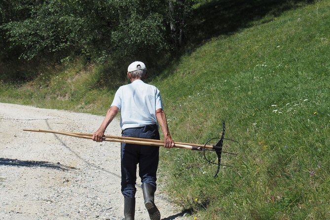 Small-Group Day Trip in Romanian Authentic Mountain Villages from Brasov - From Brasov to Bran Castle