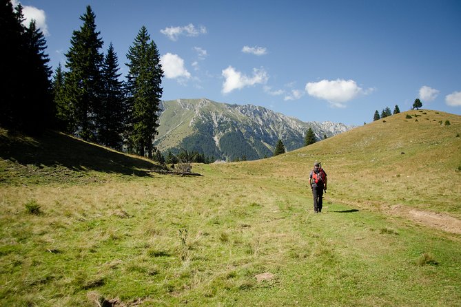 Small-Group Day Trip in Romanian Authentic Mountain Villages from Brasov - What makes Magura and Pestera worth the drive