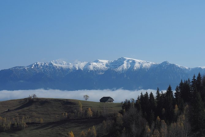 Small-Group Day Trip in Romanian Authentic Mountain Villages from Brasov - How the guide affects the day