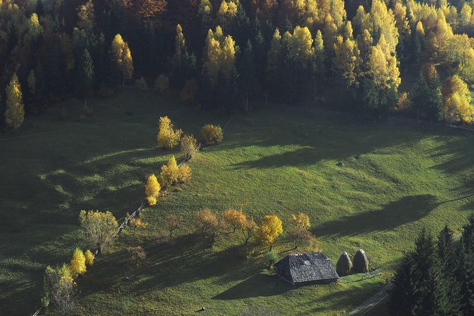 Small-Group Day Trip in Romanian Authentic Mountain Villages from Brasov - Who should take this day trip?