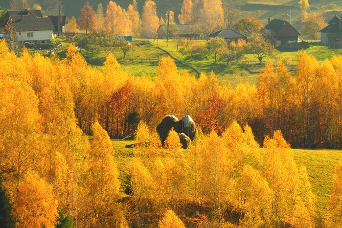 Small-Group Day Trip in Romanian Authentic Mountain Villages from Brasov - Walking through Magura’s high meadows
