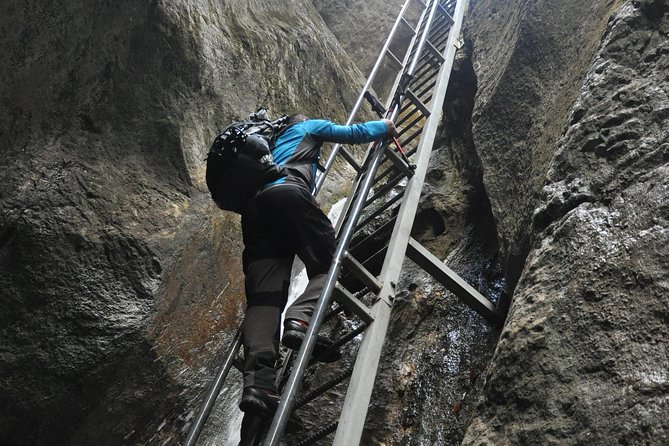 Small-Group Day Trip to the Epic 7 Ladders Canyon from Brasov - Key points before you book