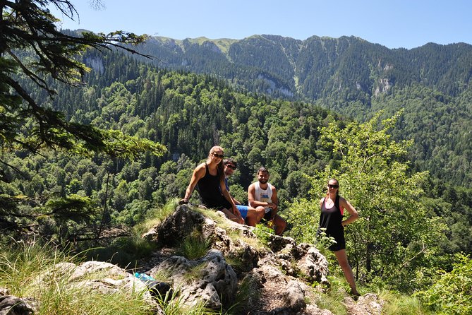 Small-Group Day Trip to the Epic 7 Ladders Canyon from Brasov - Climbing the ladders beside the falls
