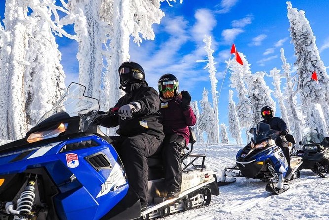 Snowmobiles, Sky Lift & Winter Sports - Private Tour - A full winter day from Bucharest