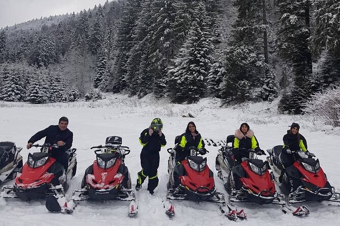 Snowmobiles, Sky Lift & Winter Sports - Private Tour - One hour of forest riding