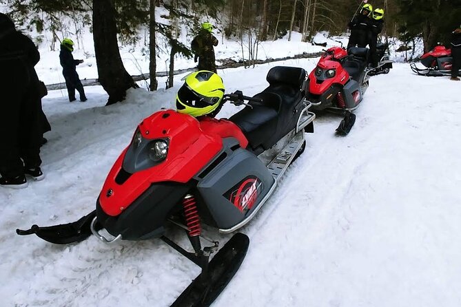 Snowmobiles, Sky Lift & Winter Sports - Private Tour - What makes the private format worthwhile