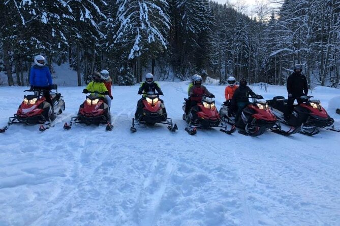 Snowmobiles, Sky Lift & Winter Sports - Private Tour - Winter timing from November through April