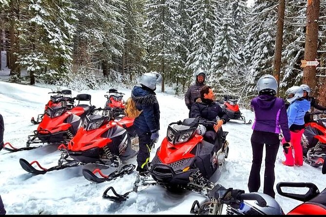 Snowmobiles, Sky Lift & Winter Sports - Private Tour - Price, value, and the cash calculation